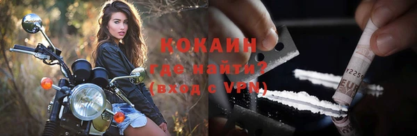 шишки Мегион