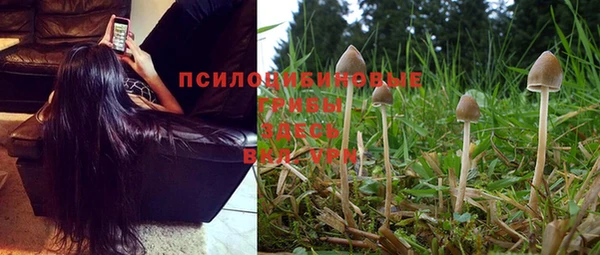 марки nbome Медвежьегорск