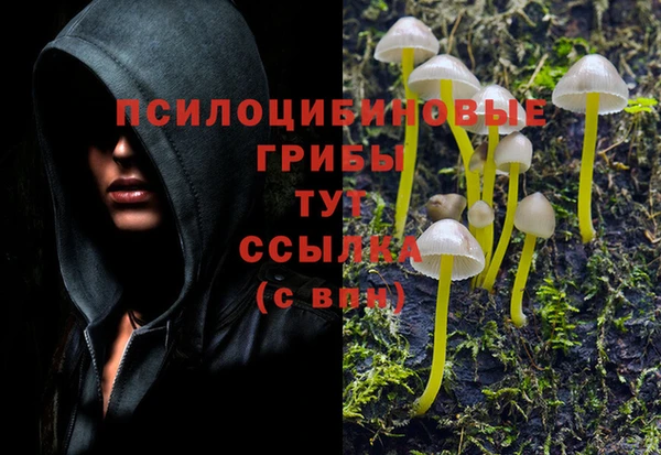 марки nbome Медвежьегорск