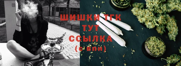 шишки Мегион