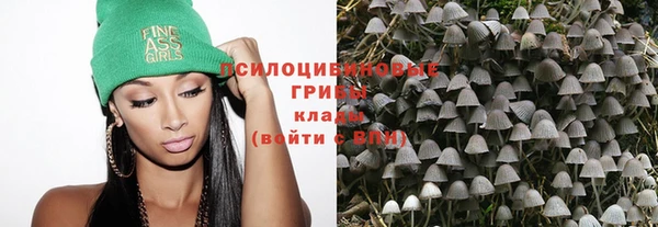 Альфа ПВП Медногорск
