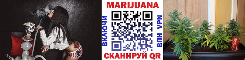 Канабис сатива  Купить закладки  Киржач 
